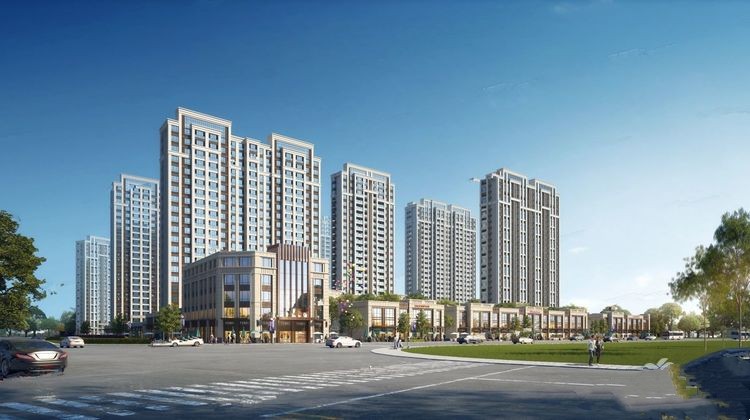 紫金九号